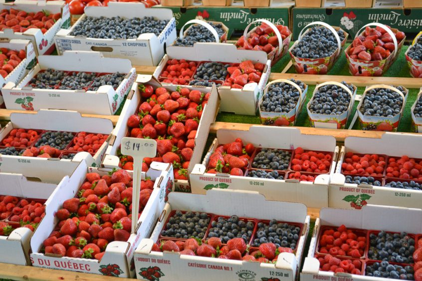 Yummy berries found in a local market.