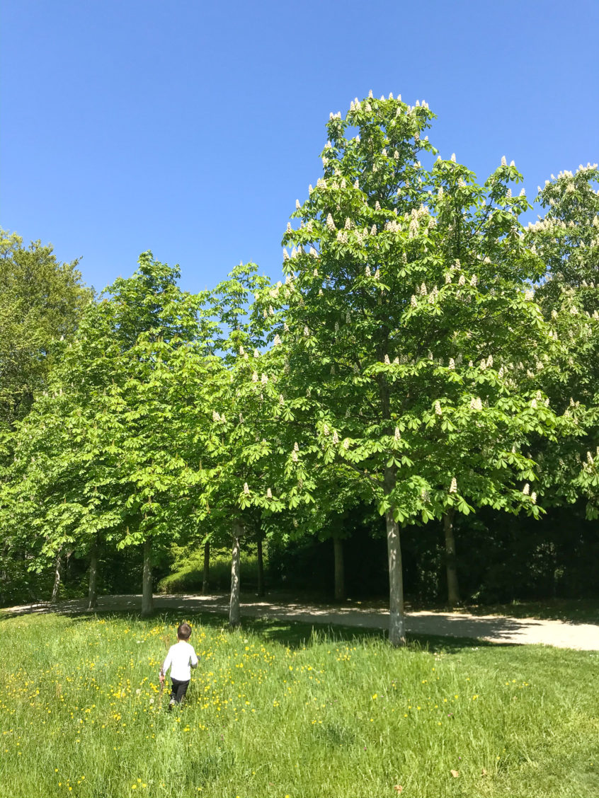 Walking at Hermitage, Lausanne